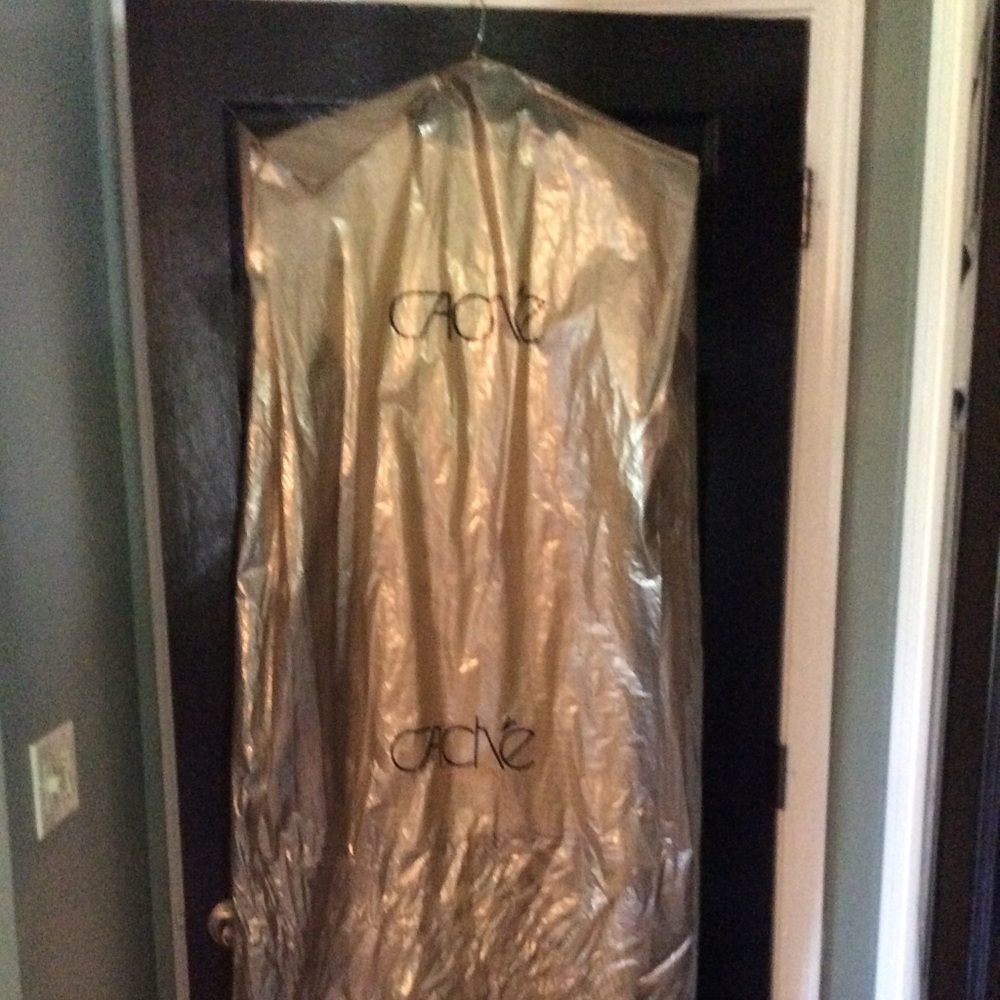 Cache Dress - Picture 7 of 7